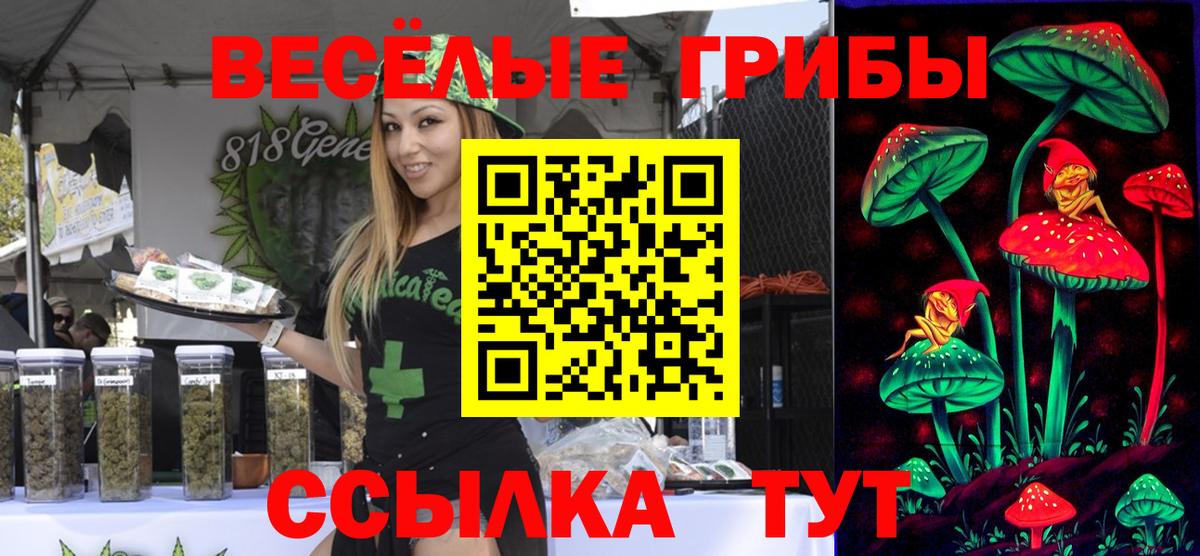 Псилоцибиновые грибы GOLDEN TEACHER Коломна