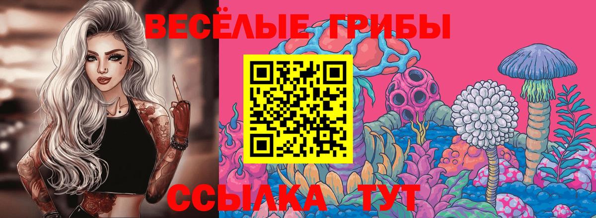 Псилоцибиновые грибы MAGIC MUSHROOMS  Галлюциногенные грибы Psilocybine cubensis  Вход с VPN  Коломна 